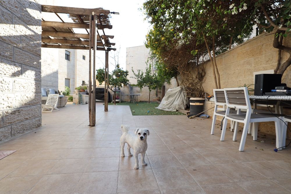 מהסמארטפון שלי